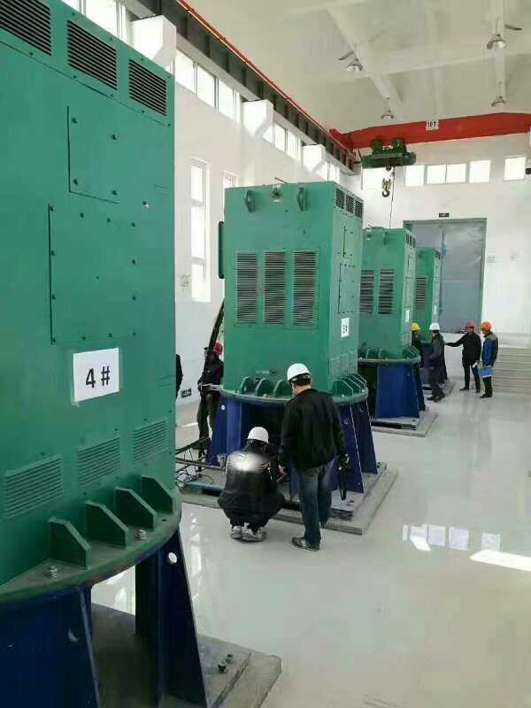 南靖某污水处理厂使用我厂的立式高压电机安装现场